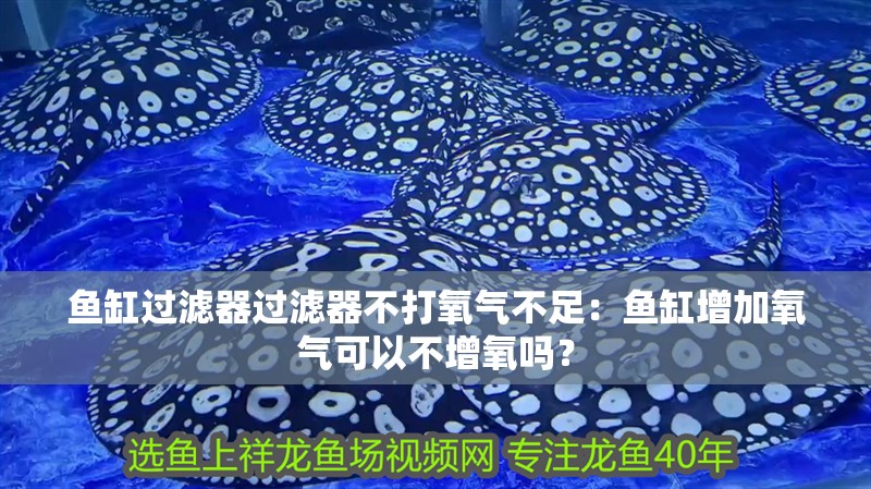 魚缸過濾器過濾器不打氧氣不足：魚缸增加氧氣可以不增氧嗎？
