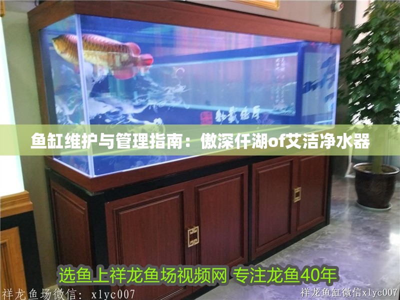 魚缸維護(hù)與管理指南：傲深仟湖of艾潔凈水器