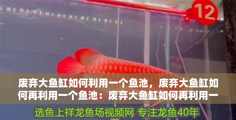 廢棄大魚缸如何利用一個魚池，廢棄大魚缸如何再利用一個魚池：廢棄大魚缸如何再利用一個魚池