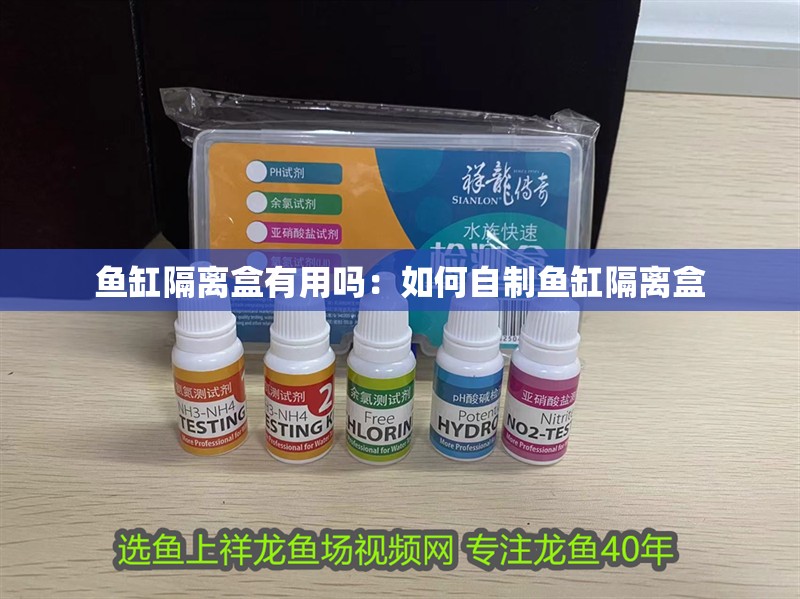 魚缸隔離盒有用嗎：如何自制魚缸隔離盒