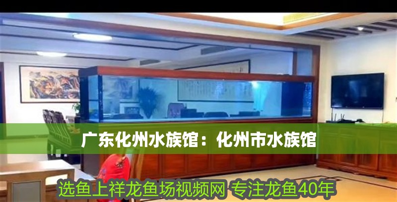 廣東<strong><mark>化州</mark></strong>水族館：<strong><mark>化州</mark></strong>市水族館