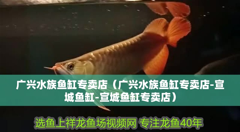 廣興水族魚缸專賣店（廣興水族魚缸專賣店-<strong><mark>宣城</mark></strong>魚缸-<strong><mark>宣城</mark></strong>魚缸專賣店）