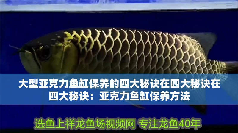大型亞克力魚缸保養的四大秘訣在四大秘訣在四大秘訣：亞克力魚缸保養方法