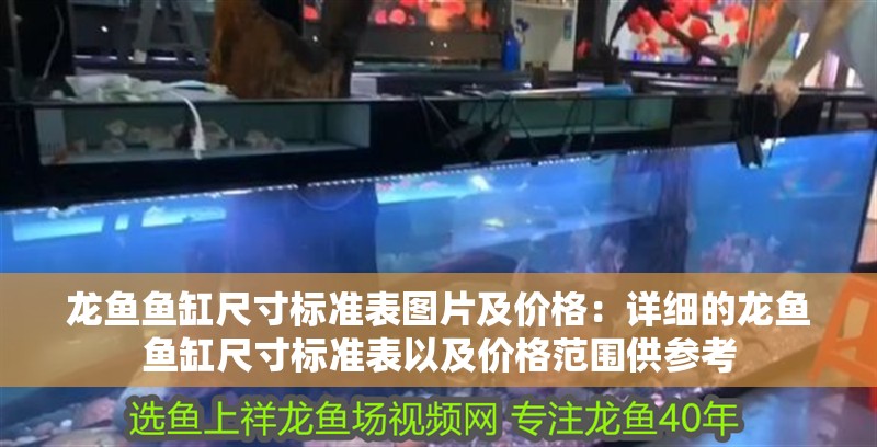 龍魚魚缸尺寸標(biāo)準(zhǔn)表圖片及價(jià)格：詳細(xì)的龍魚魚缸尺寸標(biāo)準(zhǔn)表以及價(jià)格范圍供參考