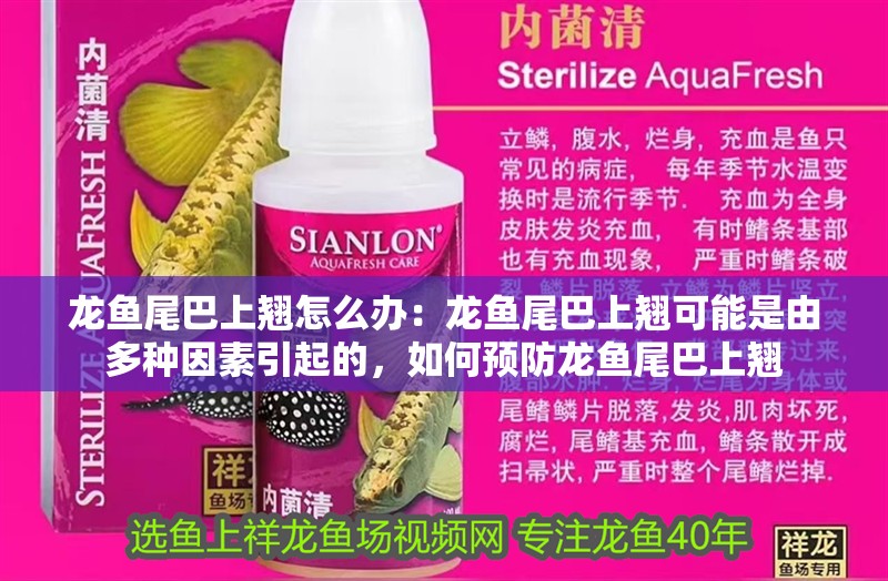 龍魚尾巴上翹怎么辦：龍魚尾巴上翹可能是由多種因素引起的，如何預防龍魚尾巴上翹