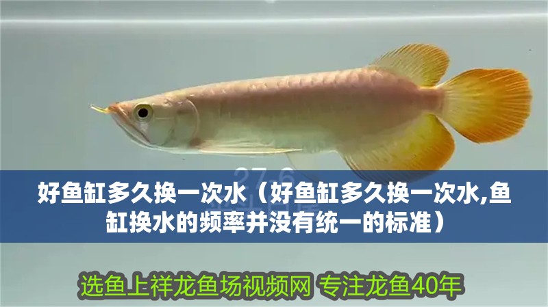好魚缸多久換一次水（好魚缸多久換一次水,魚缸換水的頻率并沒有統一的標準）