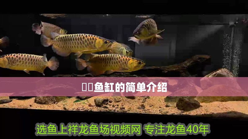 鳑鲏魚缸的簡單介紹