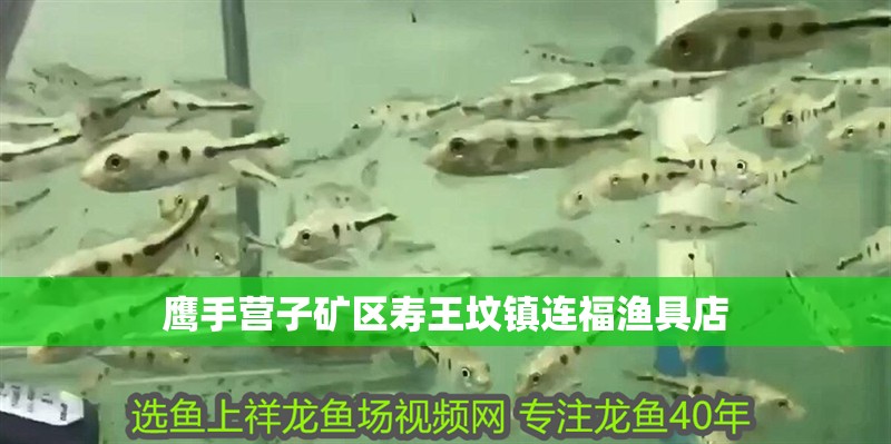 鷹手營子礦區壽王墳鎮連福漁具店