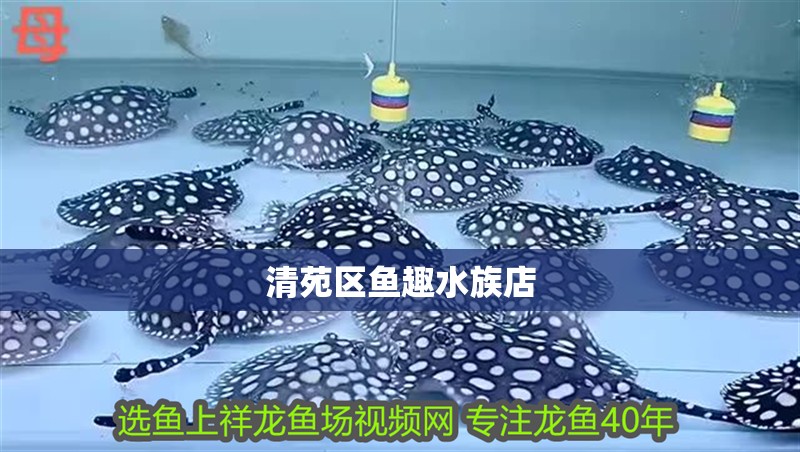 清苑區魚趣水族店