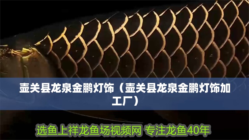 壺關縣龍泉金鵬燈飾（壺關縣龍泉金鵬燈飾加工廠）