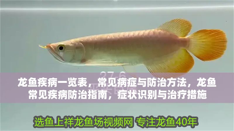 龍魚疾病一覽表，常見病癥與防治方法，龍魚常見疾病防治指南，癥狀識別與治療措施
