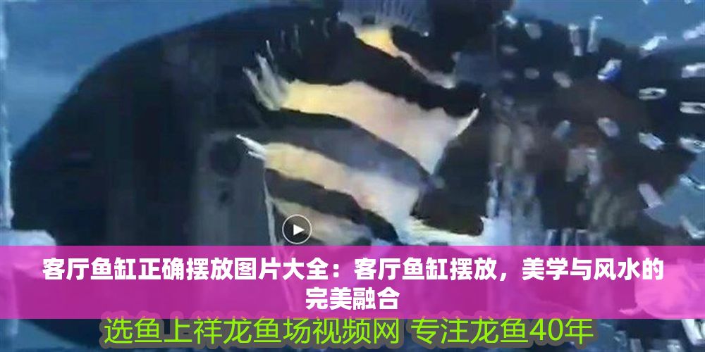 客廳魚缸正確擺放圖片大全：客廳魚缸擺放，美學(xué)與風(fēng)水的完美融合