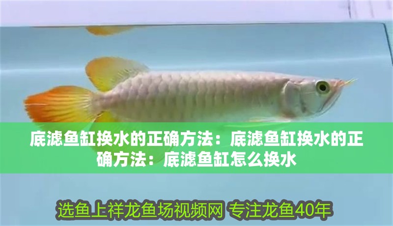 底濾魚缸換水的正確方法：底濾魚缸換水的正確方法：底濾魚缸怎么換水