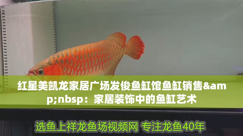 紅星美凱龍家居廣場發(fā)俊魚缸館魚缸銷售&nbsp：家居裝飾中的魚缸藝術(shù)