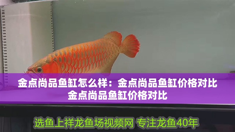 金點(diǎn)尚品魚(yú)缸怎么樣：金點(diǎn)尚品魚(yú)缸價(jià)格對(duì)比金點(diǎn)尚品魚(yú)缸價(jià)格對(duì)比