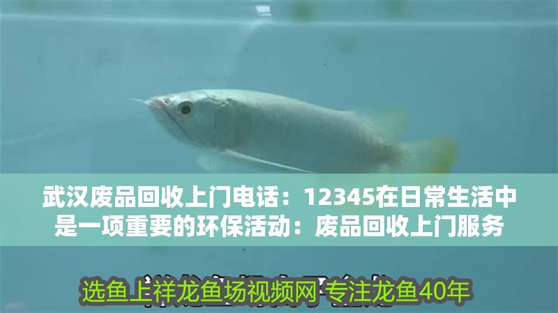 武漢廢品回收上門電話：12345在日常生活中是一項重要的環保活動：廢品回收上門服務