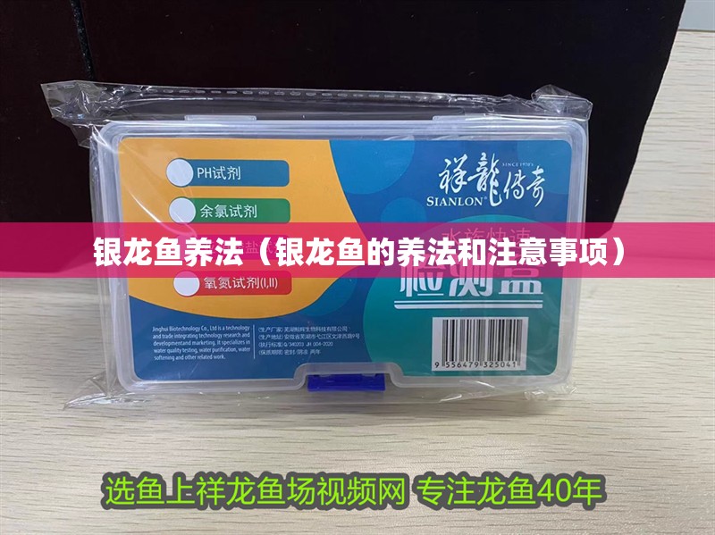 銀龍魚養法（銀龍魚的養法和注意事項）