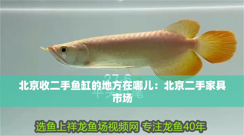 北京收二手魚缸的地方在哪兒：北京二手家具市場