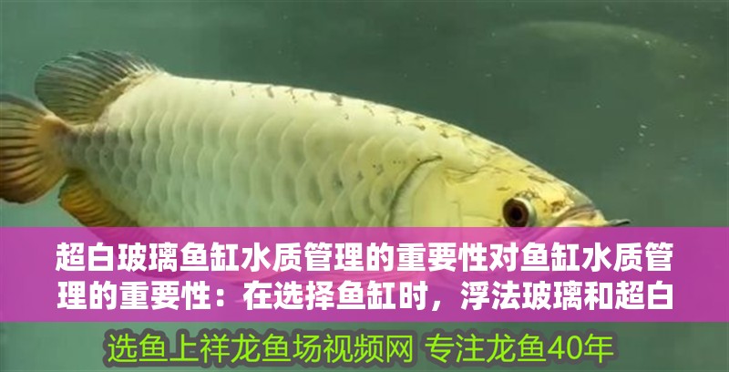 超白玻璃魚缸水質管理的重要性對魚缸水質管理的重要性：在選擇魚缸時，浮法玻璃和超白玻璃對水質的影響