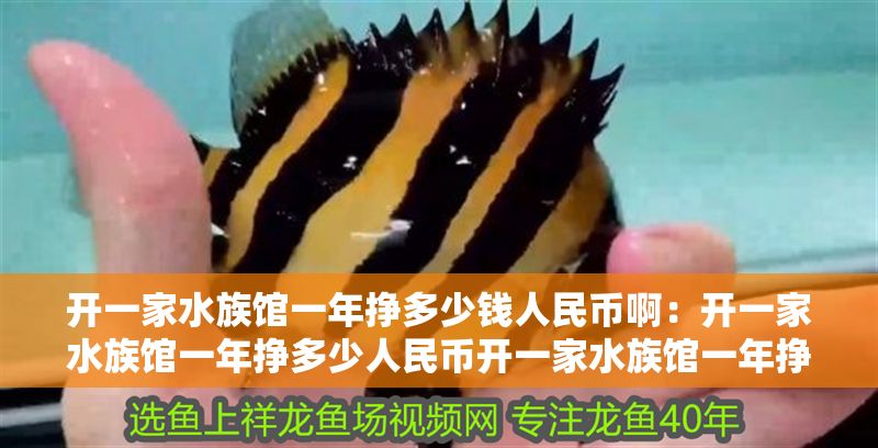 開一家水族館一年掙多少錢人民幣啊：開一家水族館一年掙多少人民幣開一家水族館一年掙多少人民幣
