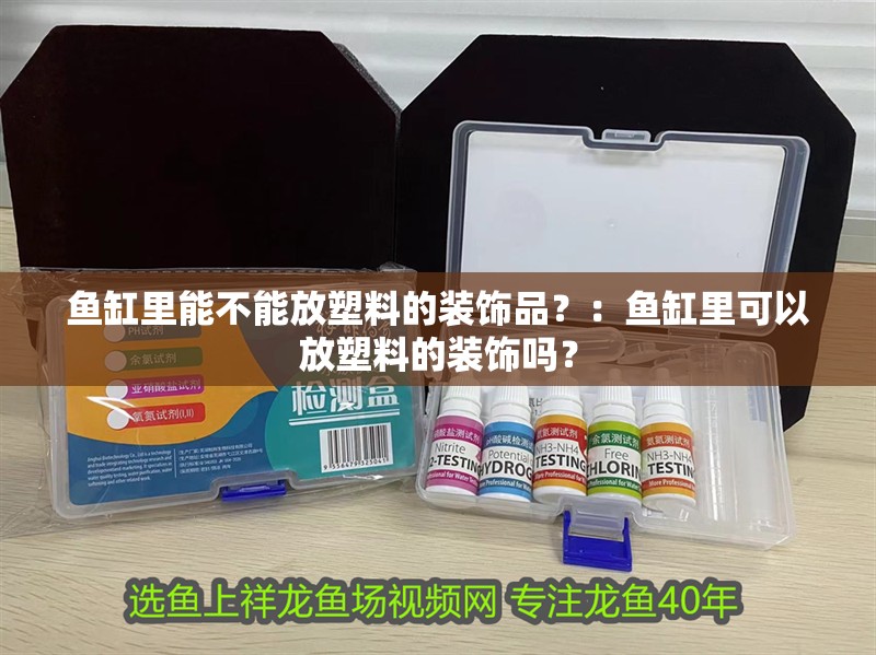 魚缸里能不能放塑料的裝飾品？：魚缸里可以放塑料的裝飾嗎？