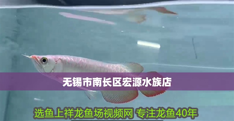 無錫市南長區宏源水族店