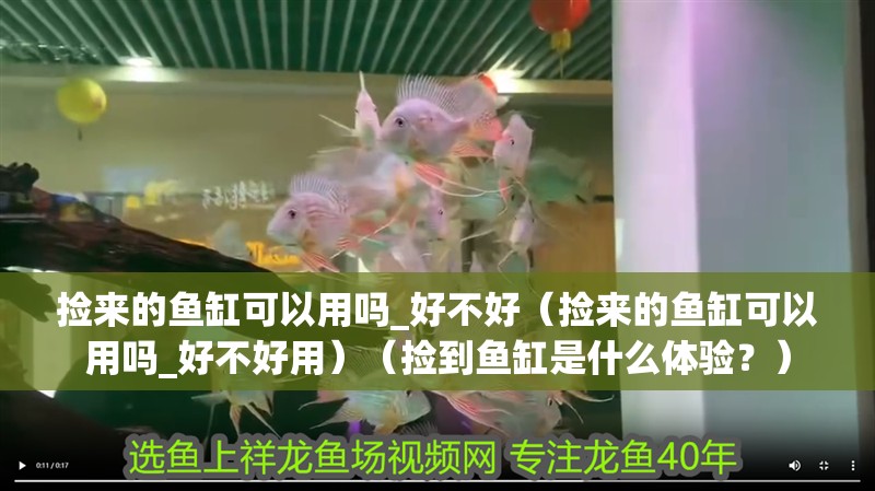 撿來的魚缸可以用嗎_好不好（撿來的魚缸可以用嗎_好不好用）（撿到魚缸是什么體驗？）