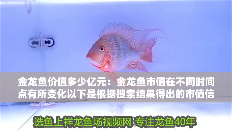 金龍魚價值多少億元：金龍魚市值在不同時間點有所變化以下是根據搜索結果得出的市值信息