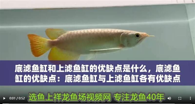 底濾魚缸和上濾魚缸的優缺點是什么，底濾魚缸的優缺點：底濾魚缸與上濾魚缸各有優缺點 底濾魚缸和上濾魚缸的優缺點是什么，底濾魚缸的優缺點：底濾魚缸與上濾魚缸各有優缺點 魚缸百科