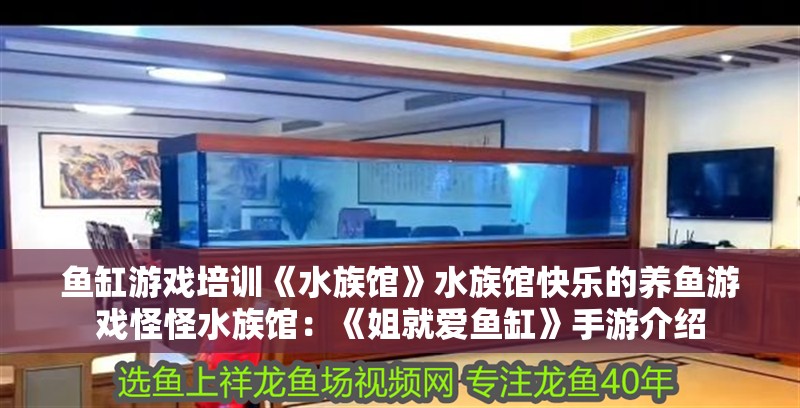 魚缸游戲培訓《水族館》水族館快樂的養魚游戲怪怪水族館：《姐就愛魚缸》手游介紹