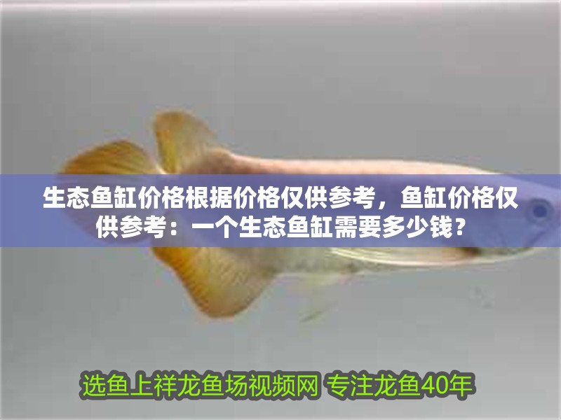 生態魚缸價格根據價格僅供參考，魚缸價格僅供參考：一個生態魚缸需要多少錢？