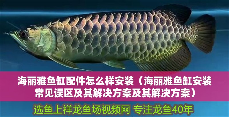海麗雅魚缸配件怎么樣安裝（海麗雅魚缸安裝常見誤區及其解決方案及其解決方案）