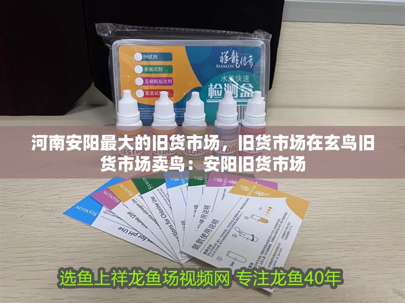 河南安陽最大的舊貨市場，舊貨市場在玄鳥舊貨市場賣鳥：安陽舊貨市場