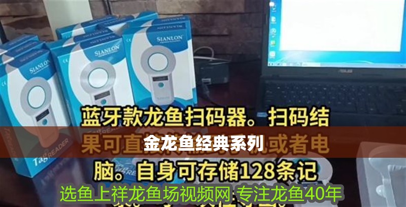 金龍魚經典系列