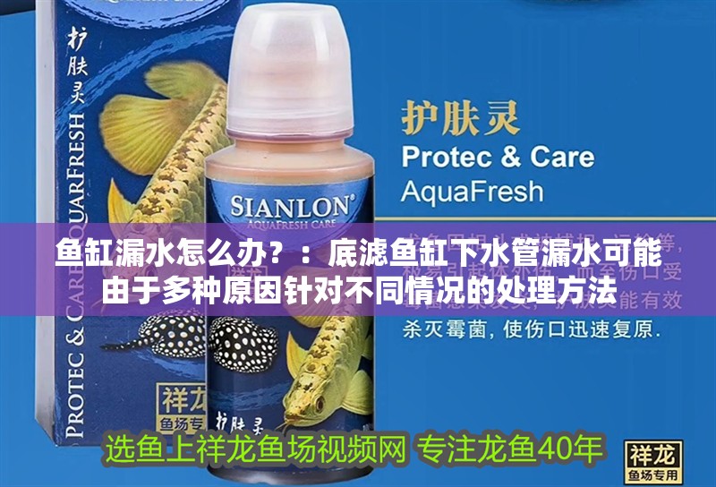 龍魚怕什么 魚缸漏水怎么辦?:底濾魚缸下水管漏水可能由于多種原因針對(duì)不同情況的處理方法 魚缸百科 魚缸漏水怎么辦?:底濾魚缸下水管漏水可能由于多種原因針對(duì)不同情況的處理方法 魚缸漏水怎么辦?:底濾魚缸下水管漏水可能由于多種原因針對(duì)不同情況的處理方法 魚缸百科