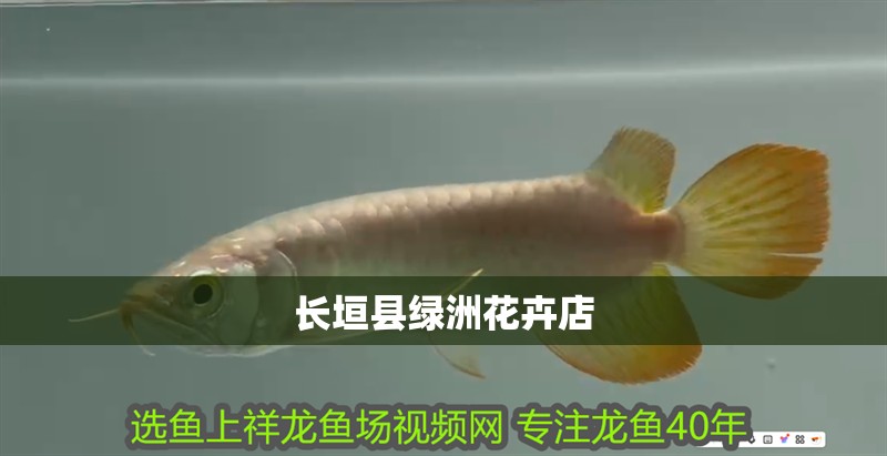 長垣縣綠洲花卉店