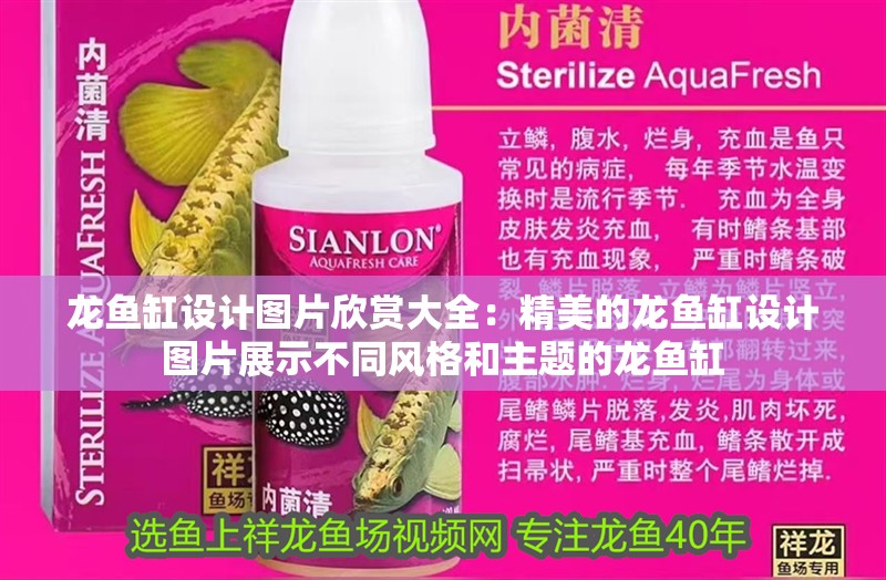 龍魚缸設計圖片欣賞大全：精美的龍魚缸設計圖片展示不同風格和主題的龍魚缸
