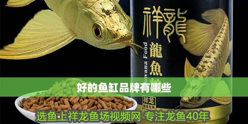 好的魚缸品牌有哪些