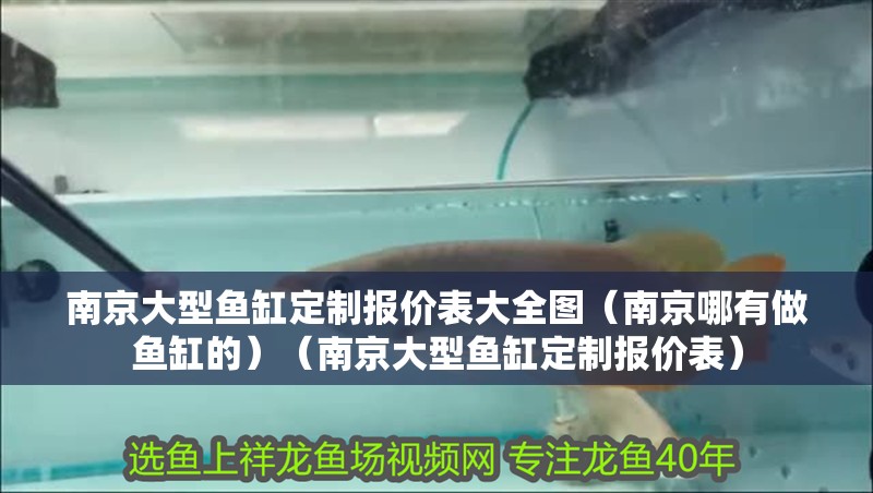 南京大型魚缸定制報價表大全圖（南京哪有做魚缸的）（南京大型魚缸定制報價表）