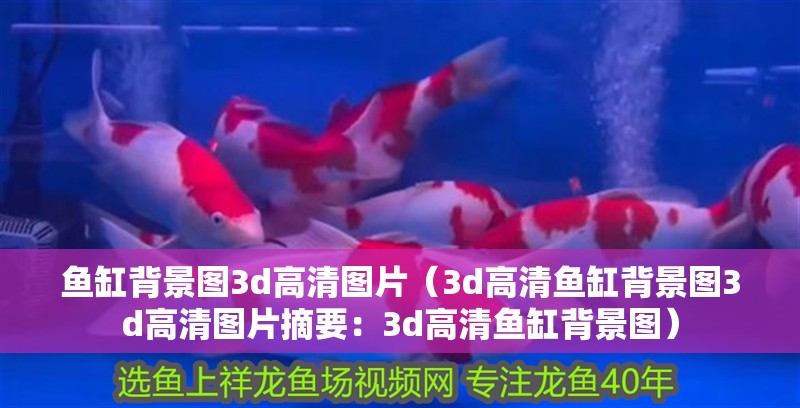 魚缸背景圖3d高清圖片（3d高清魚缸背景圖3d高清圖片摘要：3d高清魚缸背景圖）