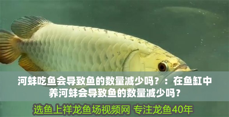 河蚌吃魚會導致魚的數量減少嗎？：在魚缸中養河蚌會導致魚的數量減少嗎？