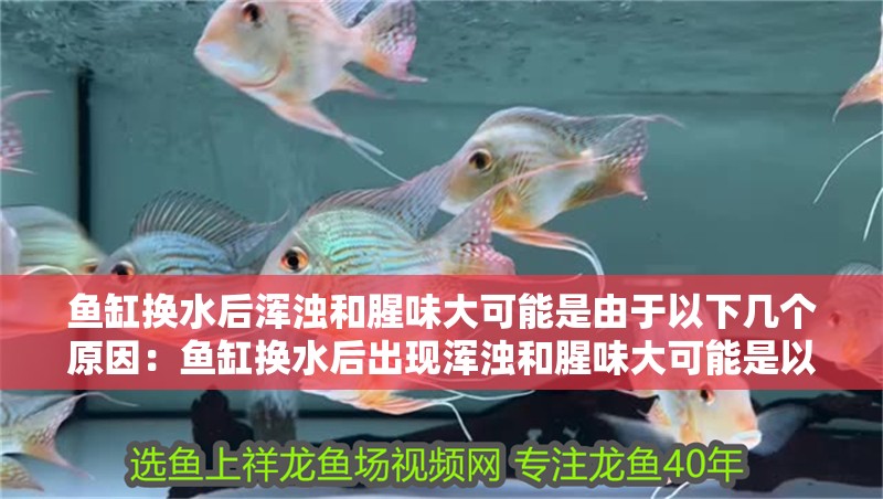 魚缸換水后渾濁和腥味大可能是由于以下幾個原因：魚缸換水后出現渾濁和腥味大可能是以下幾個原因