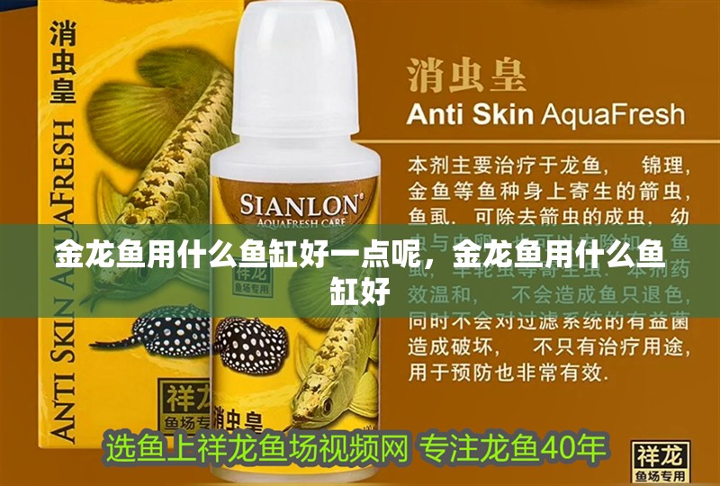金龍魚用什么魚缸好一點(diǎn)呢，金龍魚用什么魚缸好
