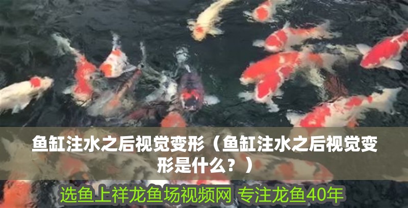 魚缸注水之后視覺變形（魚缸注水之后視覺變形是什么？）