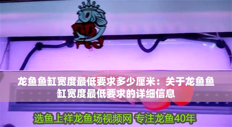 龍魚魚缸寬度最低要求多少厘米：關于龍魚魚缸寬度最低要求的詳細信息