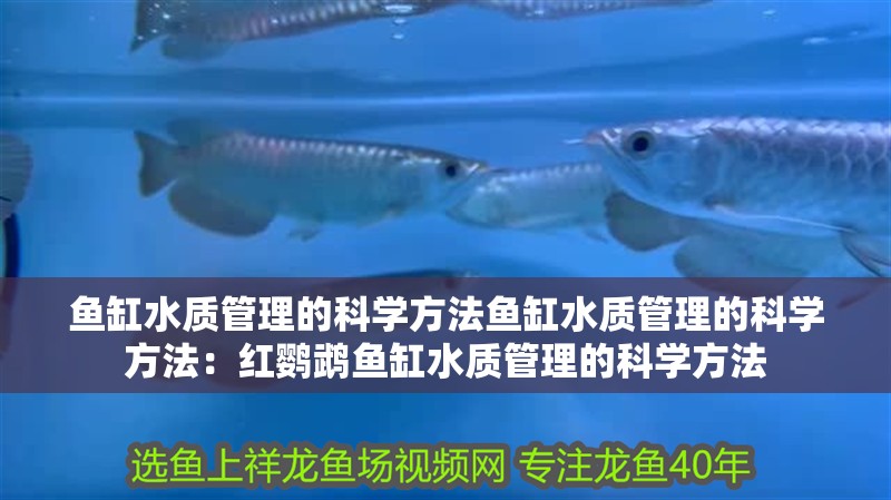 魚缸水質(zhì)管理的科學(xué)方法魚缸水質(zhì)管理的科學(xué)方法：紅鸚鵡魚缸水質(zhì)管理的科學(xué)方法