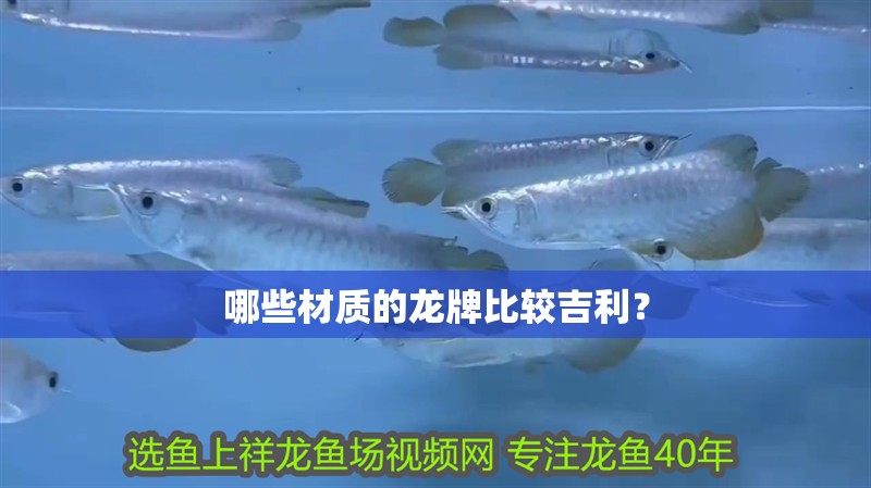 哪些材質(zhì)的龍牌比較吉利？