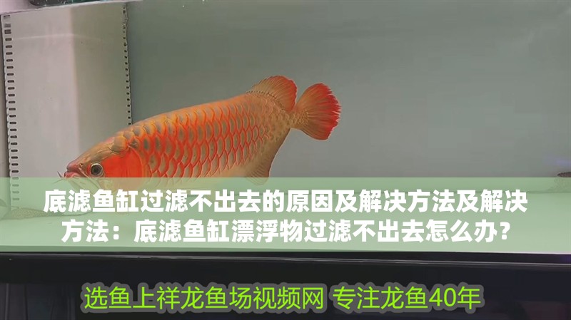 底濾魚缸過濾不出去的原因及解決方法及解決方法：底濾魚缸漂浮物過濾不出去怎么辦？