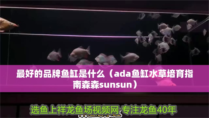 最好的品牌魚缸是什么（ada魚缸水草培育指南森森sunsun）