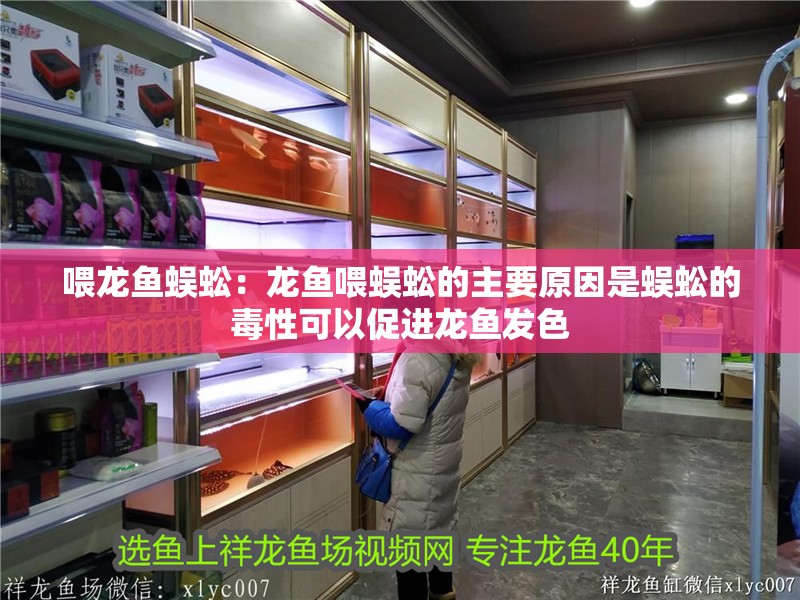 喂龍魚蜈蚣：龍魚喂蜈蚣的主要原因是蜈蚣的毒性可以促進龍魚發色